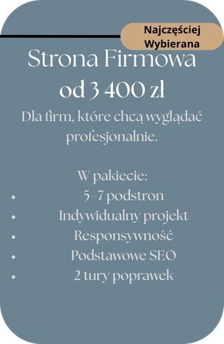 Profesjonalna strona firmowa – projekt i wykonanie beztejsciemy.pl